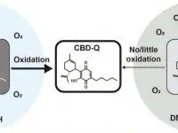 Vaping Cannabinoid Mixtures Produces A Chemical That Destroys Human Tissue, Research Reveals
