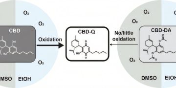 Vaping Cannabinoid Mixtures Produces A Chemical That Destroys Human Tissue, Research Reveals
