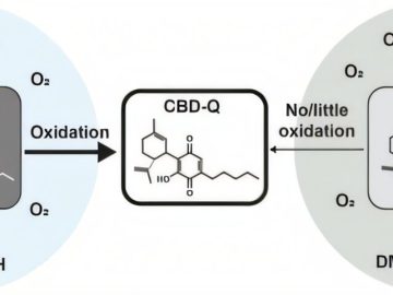 Vaping Cannabinoid Mixtures Produces A Chemical That Destroys Human Tissue, Research Reveals