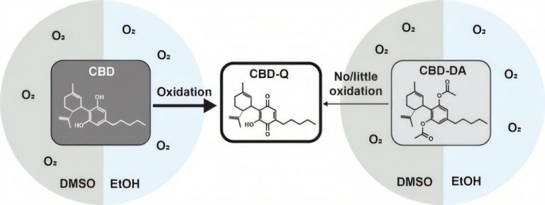 Vaping Cannabinoid Mixtures Produces A Chemical That Destroys Human Tissue, Research Reveals