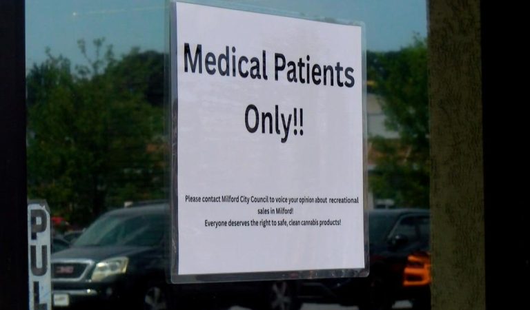 Fresh Delaware Faces City Bans Blocking Recreational Cannabis Sales