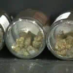 Albert Lea City Council to Review 3 Cannabis Dispensaries 3 Albert Lea Council Set To Review 3 Cannabis Dispensaries At Meeting