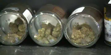 Albert Lea Council Set To Review 3 Cannabis Dispensaries At Meeting