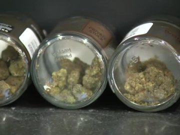 Albert Lea Council Set To Review 3 Cannabis Dispensaries At Meeting