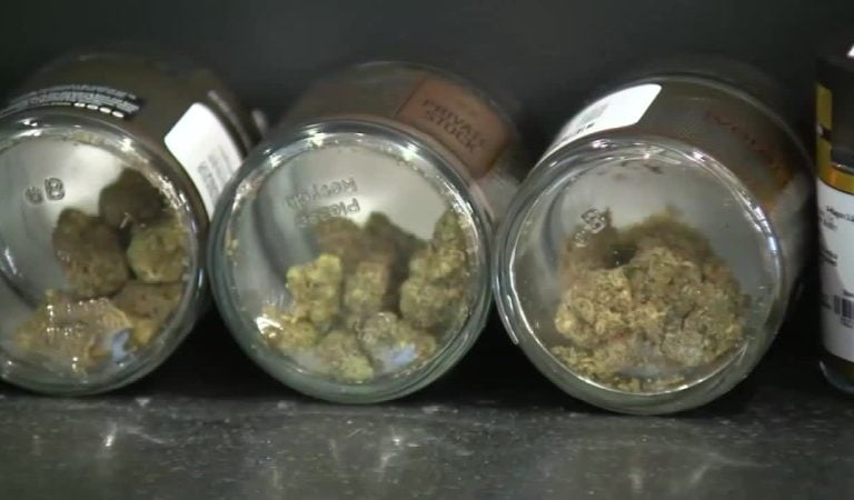 Albert Lea City Council to Review 3 Cannabis Dispensaries